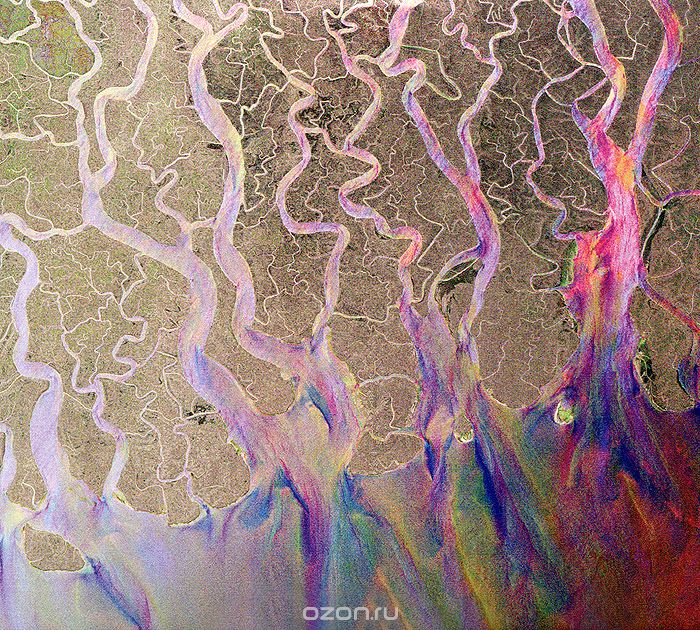 Alt-J. An Awesome Wave (CD + DVD)