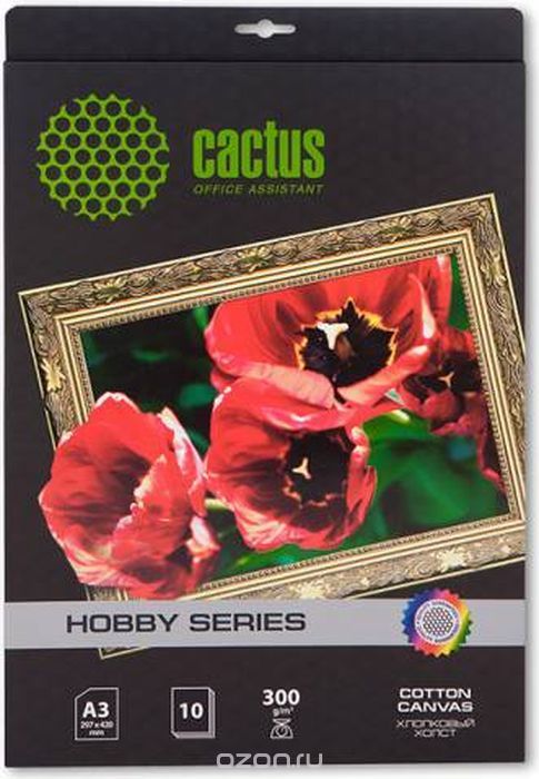 Cactus CS-A326010 A3/300/2     (10 )