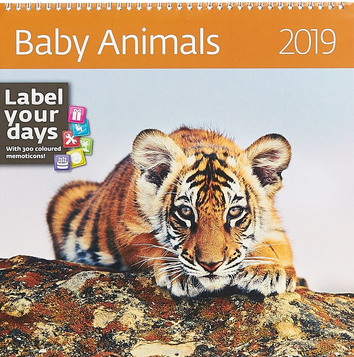 - 2019. Baby Animals /  